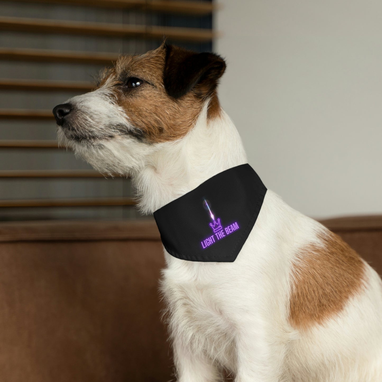 Light the Beam, Sacramento Basketball Pet Bandana Collar,Light the Beam! Celebrate another W - WIN - for your Kings Basketball team with your pet! Perfect way to show off another W on your morning walk with your Kings fan dog.