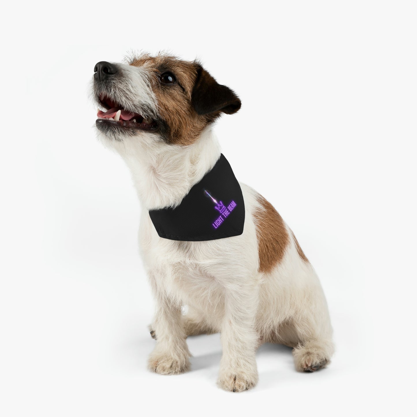 Light the Beam, Sacramento Basketball Pet Bandana Collar,Light the Beam! Celebrate another W - WIN - for your Kings Basketball team with your pet! Perfect way to show off another W on your morning walk with your Kings fan dog.