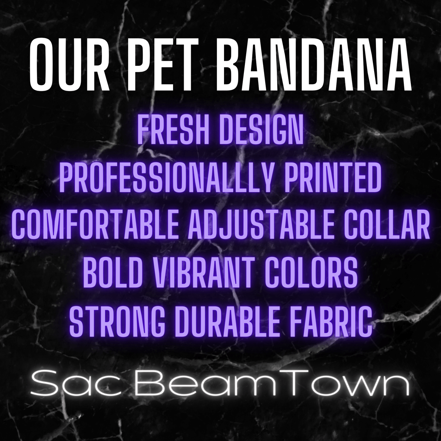 Light the Beam Pet Bandana on Collar