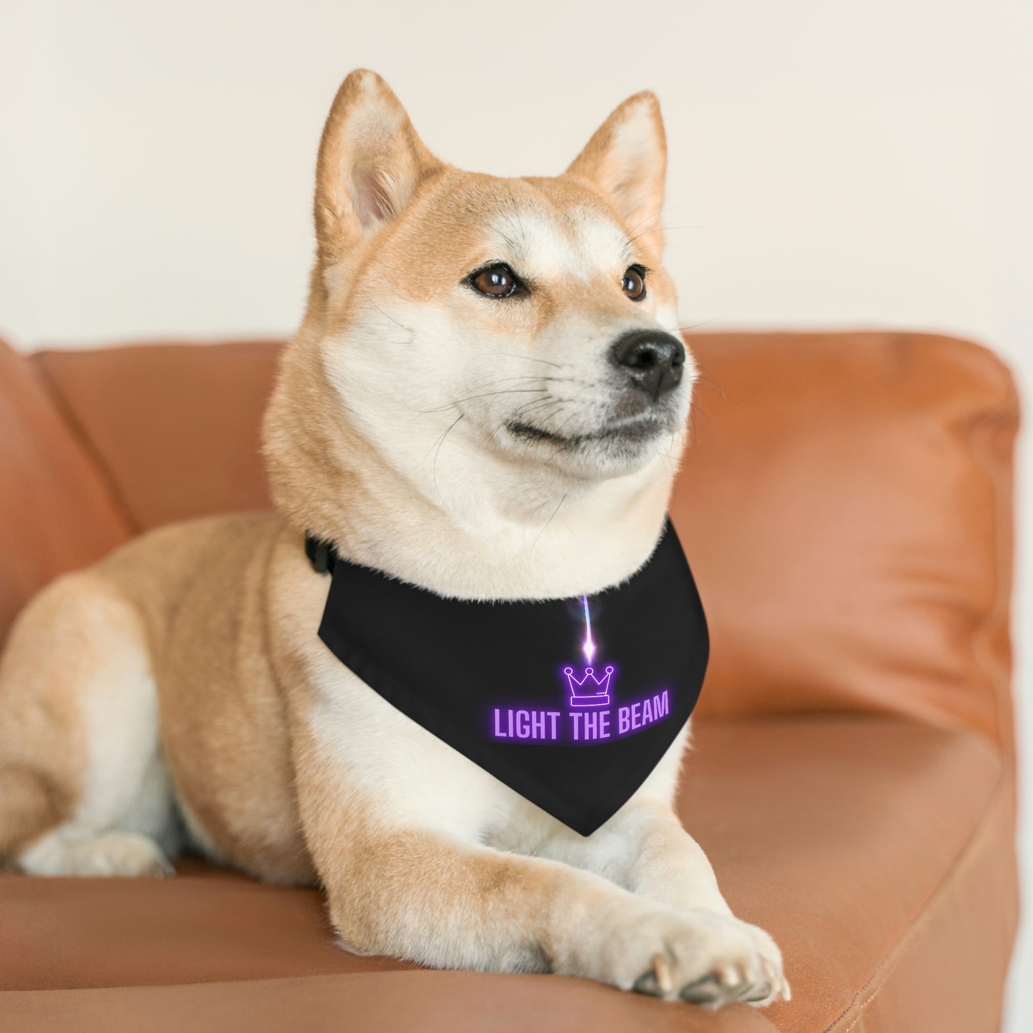 Light the Beam, Sacramento Basketball Pet Bandana Collar,Light the Beam! Celebrate another W - WIN - for your Kings Basketball team with your pet! Perfect way to show off another W on your morning walk with your Kings fan dog.